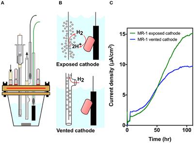 Preventing Hydrogen Disposal Increases Electrode Utilization Efficiency by Shewanella oneidensis